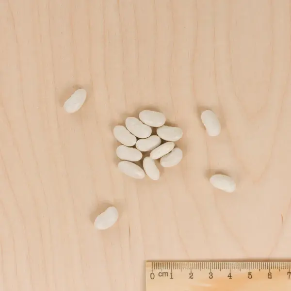 Légumes Secs - Haricot Nain à Ecosser Michelet à Longue Cosse - MEDIA_3D